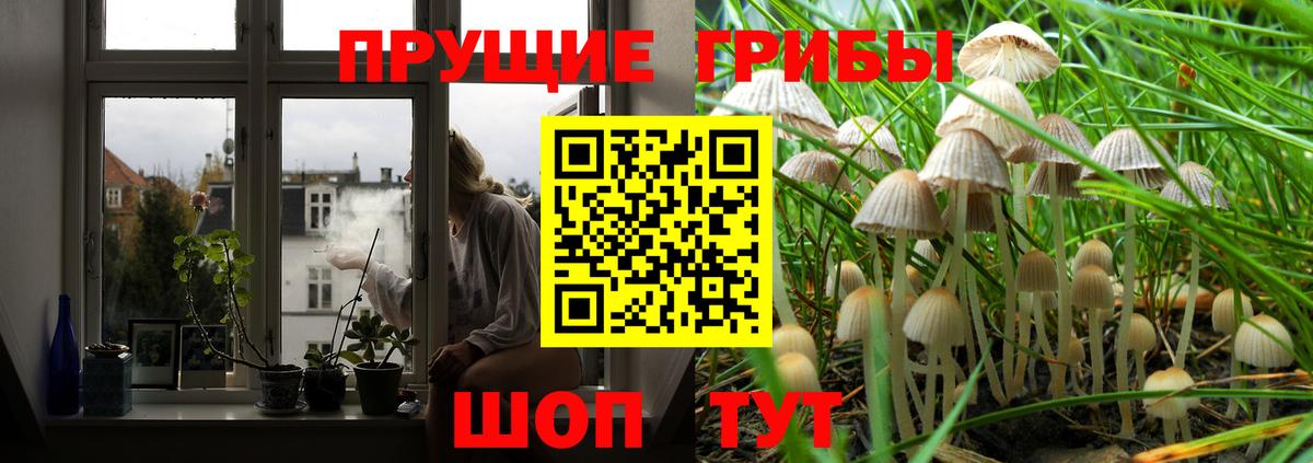 Галлюциногенные грибы мицелий  магазин продажи наркотиков  Зерноград  Вход с VPN 